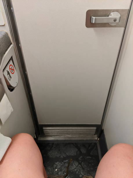 Gaby en el baño del avión. 15 min. $$$